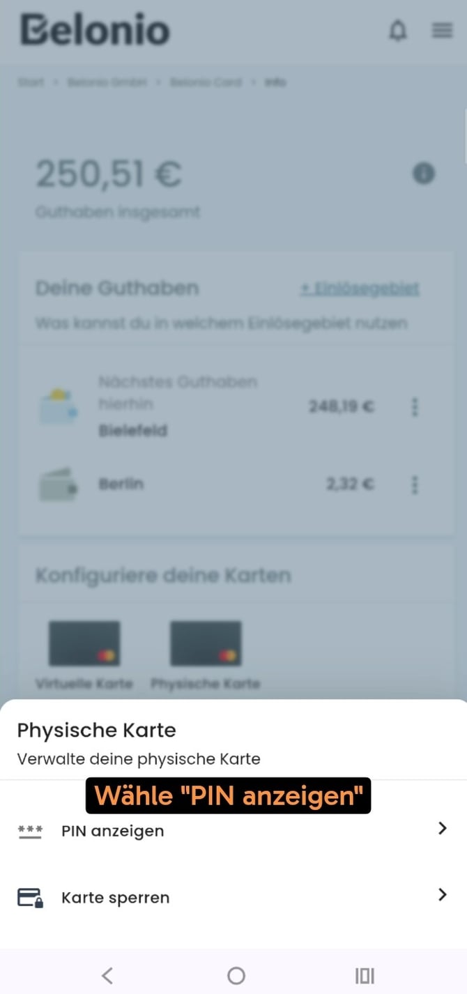 BelonioCard-ShowPIN-2